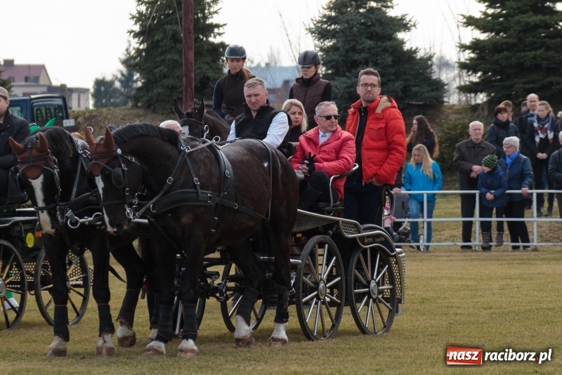 Zdjęcie w galerii na portalu naszraciborz.pl: Konny Festyn Wielkanocny w Pietrowicach Wielkich FOTO i WIDEO wiadomości z regionu