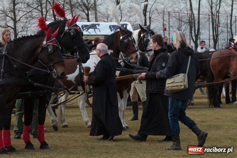 Zdjęcie w galerii na portalu naszraciborz.pl: Konny Festyn Wielkanocny w Pietrowicach Wielkich FOTO i WIDEO wiadomości z regionu
