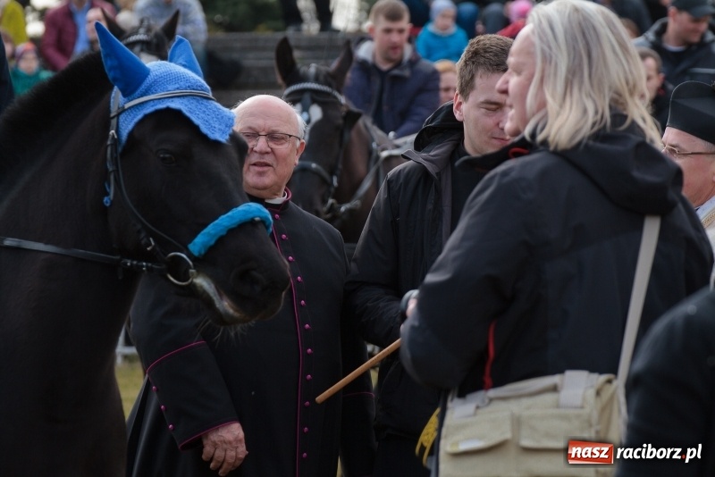 Zdjęcie w galerii na portalu naszraciborz.pl: Konny Festyn Wielkanocny w Pietrowicach Wielkich FOTO i WIDEO wiadomości z regionu