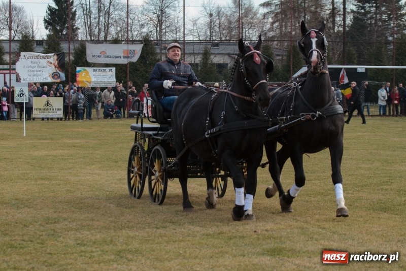 Zdjęcie w galerii na portalu naszraciborz.pl: Konny Festyn Wielkanocny w Pietrowicach Wielkich FOTO i WIDEO wiadomości z regionu