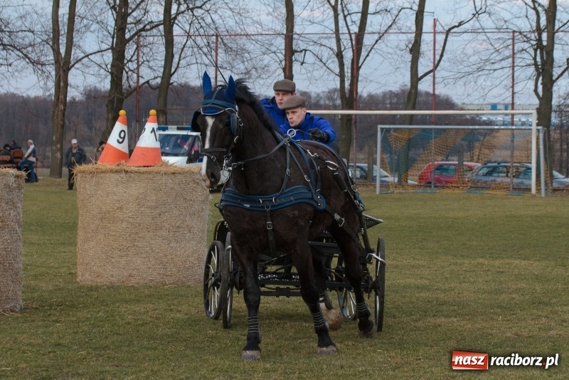 Zdjęcie w galerii na portalu naszraciborz.pl: Konny Festyn Wielkanocny w Pietrowicach Wielkich FOTO i WIDEO wiadomości z regionu
