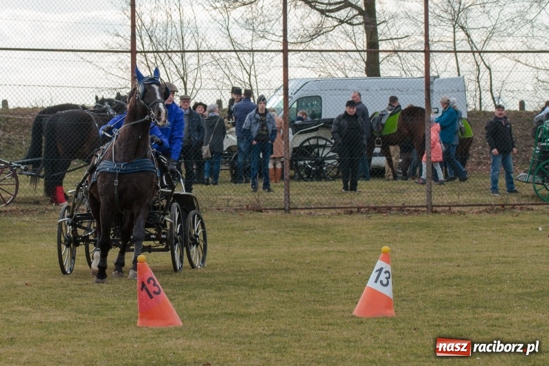 Zdjęcie w galerii na portalu naszraciborz.pl: Konny Festyn Wielkanocny w Pietrowicach Wielkich FOTO i WIDEO wiadomości z regionu
