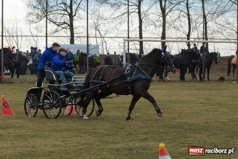 Zdjęcie w galerii na portalu naszraciborz.pl: Konny Festyn Wielkanocny w Pietrowicach Wielkich FOTO i WIDEO wiadomości z regionu