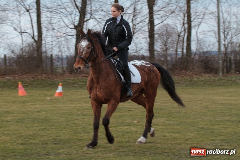 Zdjęcie w galerii na portalu naszraciborz.pl: Konny Festyn Wielkanocny w Pietrowicach Wielkich FOTO i WIDEO wiadomości z regionu