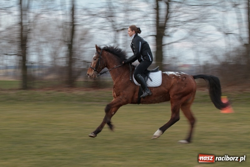 Zdjęcie w galerii na portalu naszraciborz.pl: Konny Festyn Wielkanocny w Pietrowicach Wielkich FOTO i WIDEO wiadomości z regionu