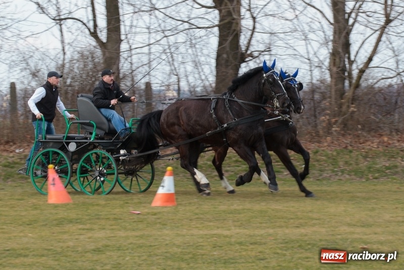 Zdjęcie w galerii na portalu naszraciborz.pl: Konny Festyn Wielkanocny w Pietrowicach Wielkich FOTO i WIDEO wiadomości z regionu