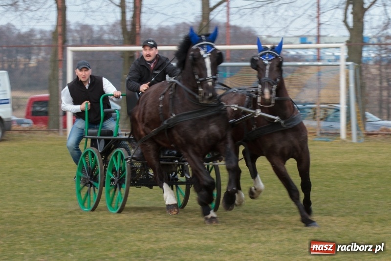 Zdjęcie w galerii na portalu naszraciborz.pl: Konny Festyn Wielkanocny w Pietrowicach Wielkich FOTO i WIDEO wiadomości z regionu