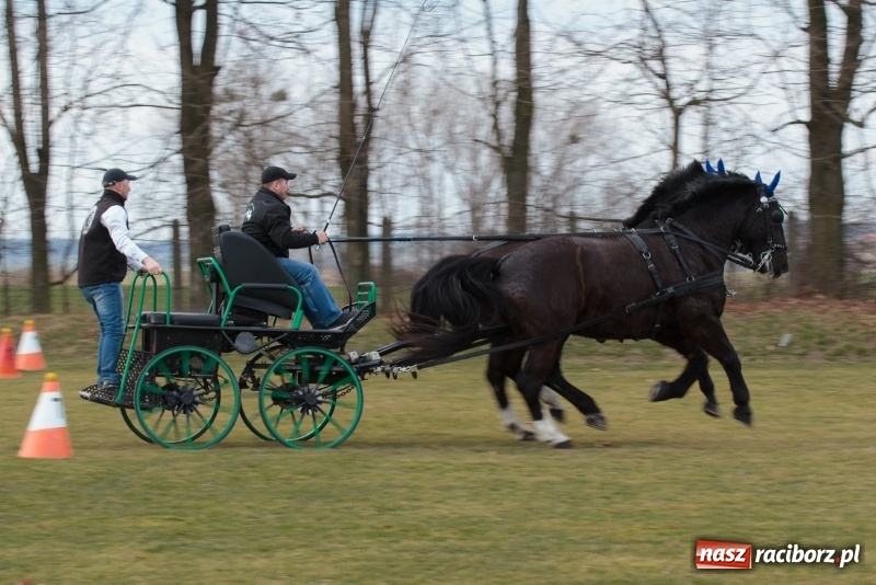 Zdjęcie w galerii na portalu naszraciborz.pl: Konny Festyn Wielkanocny w Pietrowicach Wielkich FOTO i WIDEO wiadomości z regionu