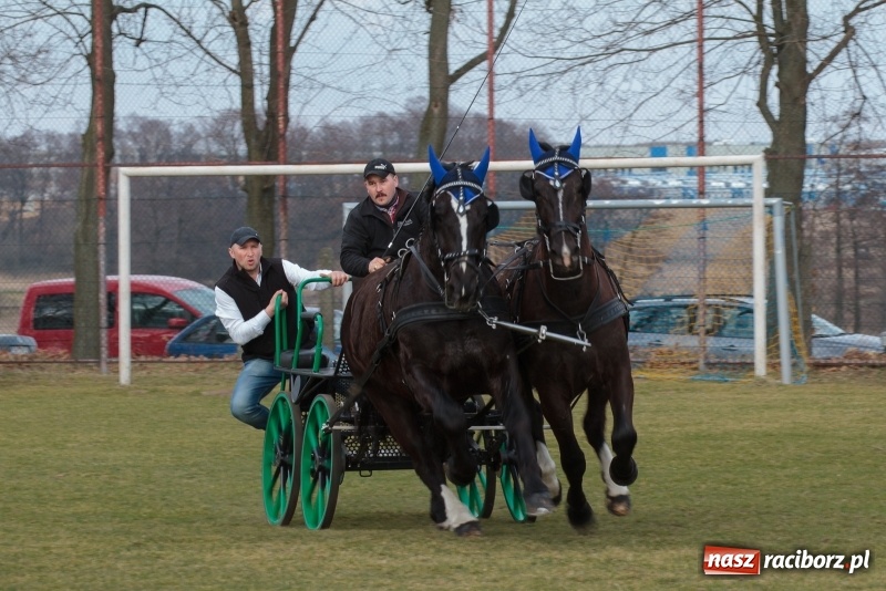 Zdjęcie w galerii na portalu naszraciborz.pl: Konny Festyn Wielkanocny w Pietrowicach Wielkich FOTO i WIDEO wiadomości z regionu