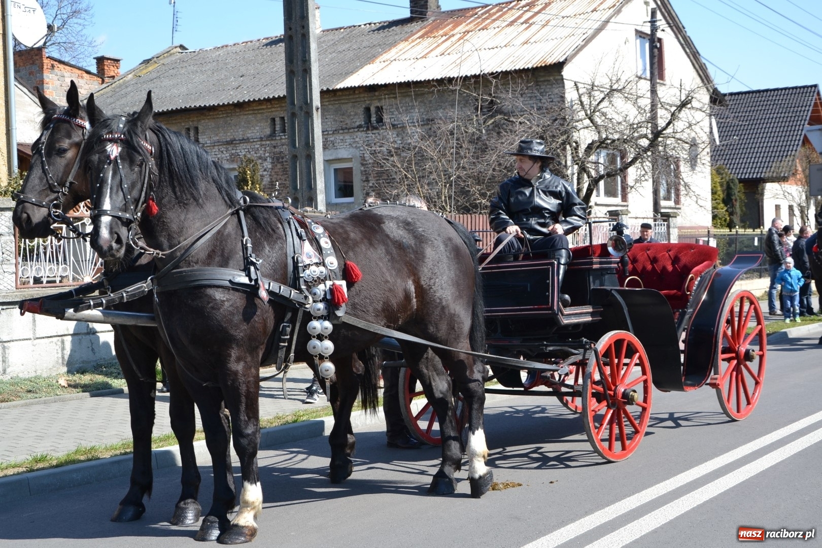 Zdjęcie w galerii na portalu naszraciborz.pl: Bieńkowickie rajtowanie - jeźdźcy mocno chwycili za lejce FOTO i WIDEO wiadomości z regionu
