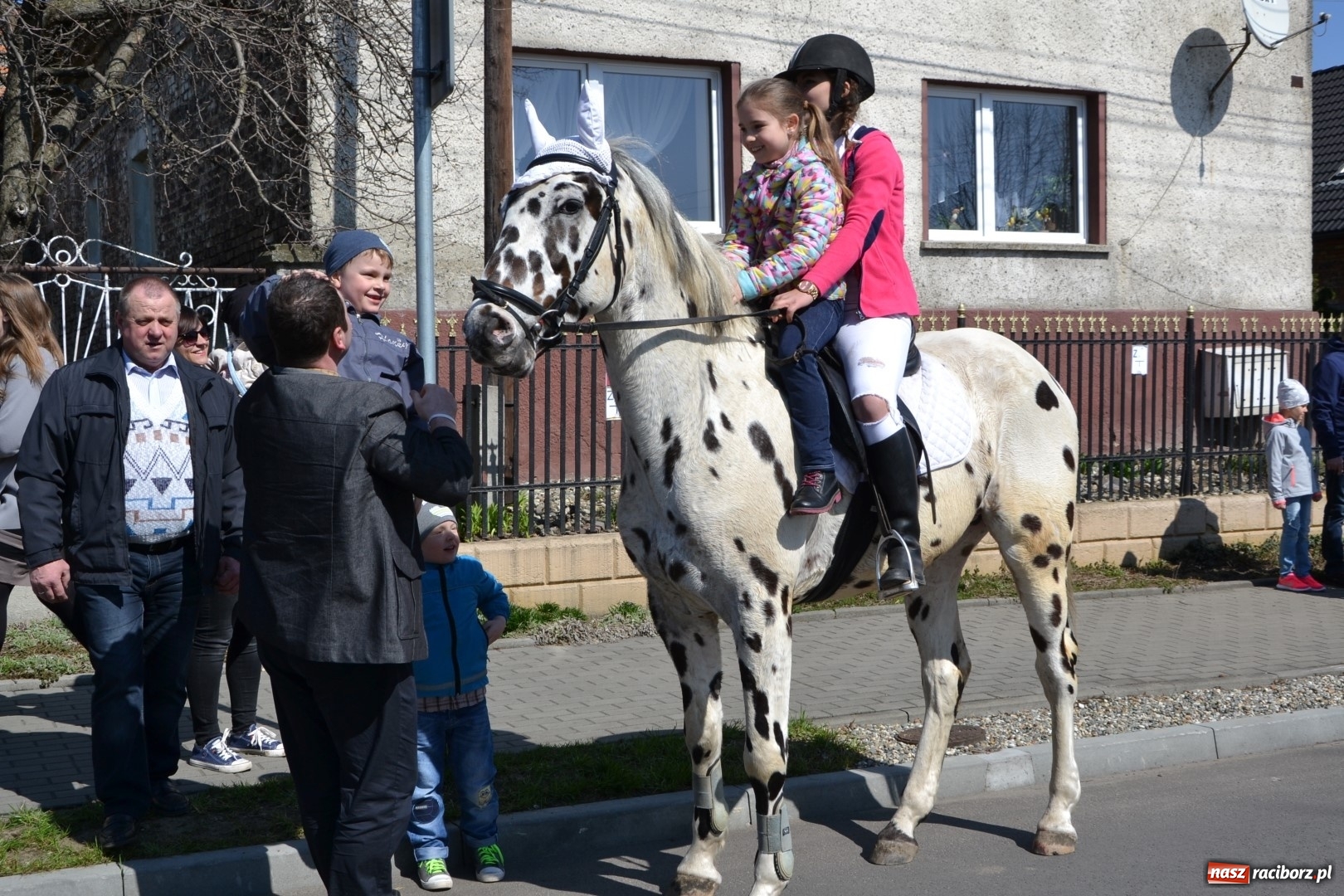 Zdjęcie w galerii na portalu naszraciborz.pl: Bieńkowickie rajtowanie - jeźdźcy mocno chwycili za lejce FOTO i WIDEO wiadomości z regionu