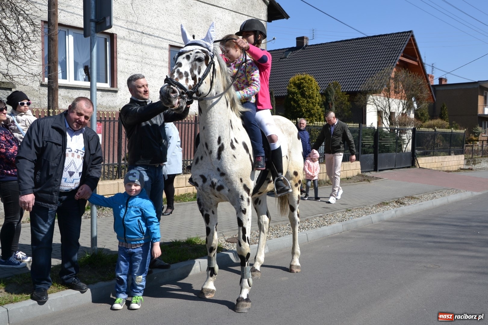 Zdjęcie w galerii na portalu naszraciborz.pl: Bieńkowickie rajtowanie - jeźdźcy mocno chwycili za lejce FOTO i WIDEO wiadomości z regionu