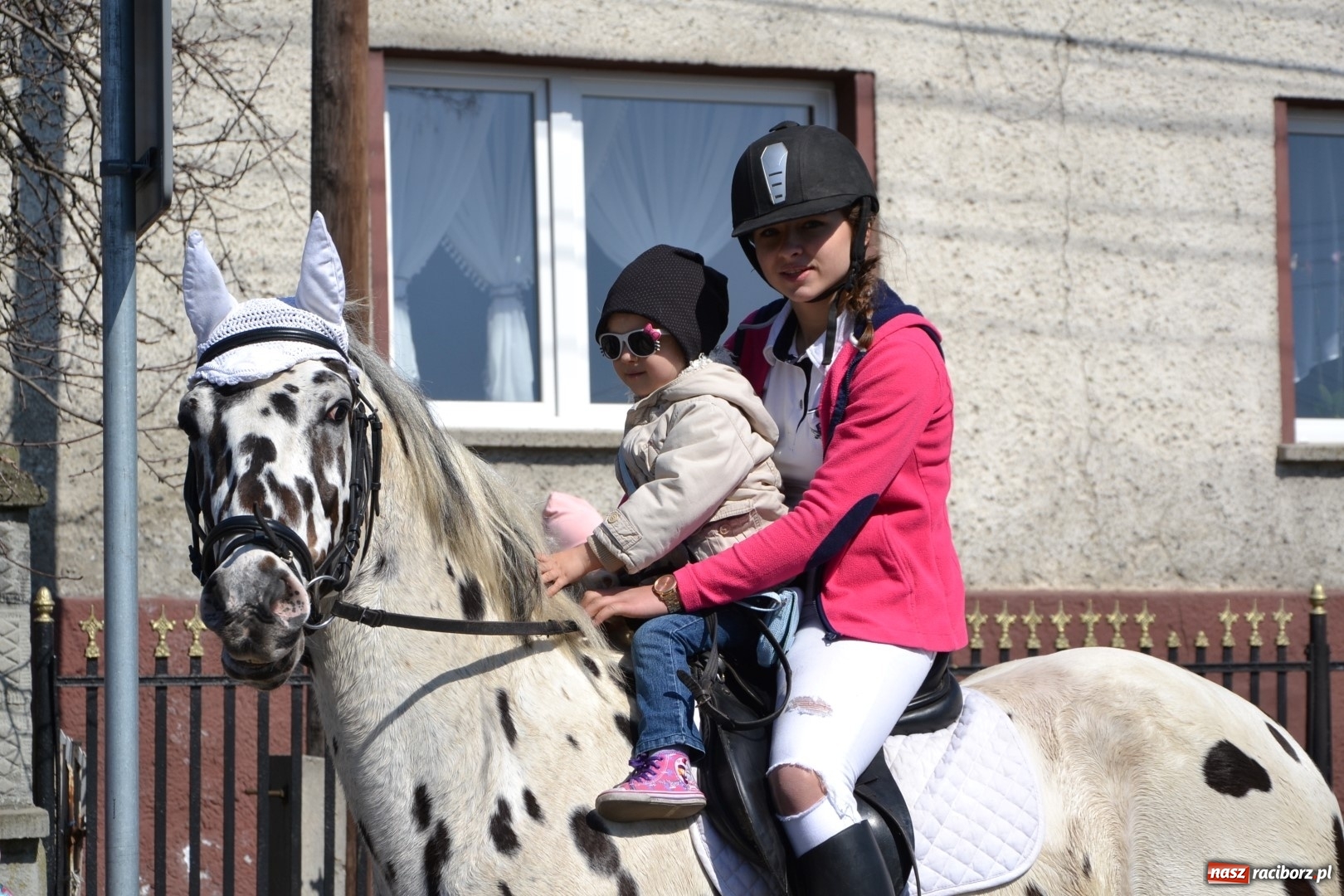 Zdjęcie w galerii na portalu naszraciborz.pl: Bieńkowickie rajtowanie - jeźdźcy mocno chwycili za lejce FOTO i WIDEO wiadomości z regionu