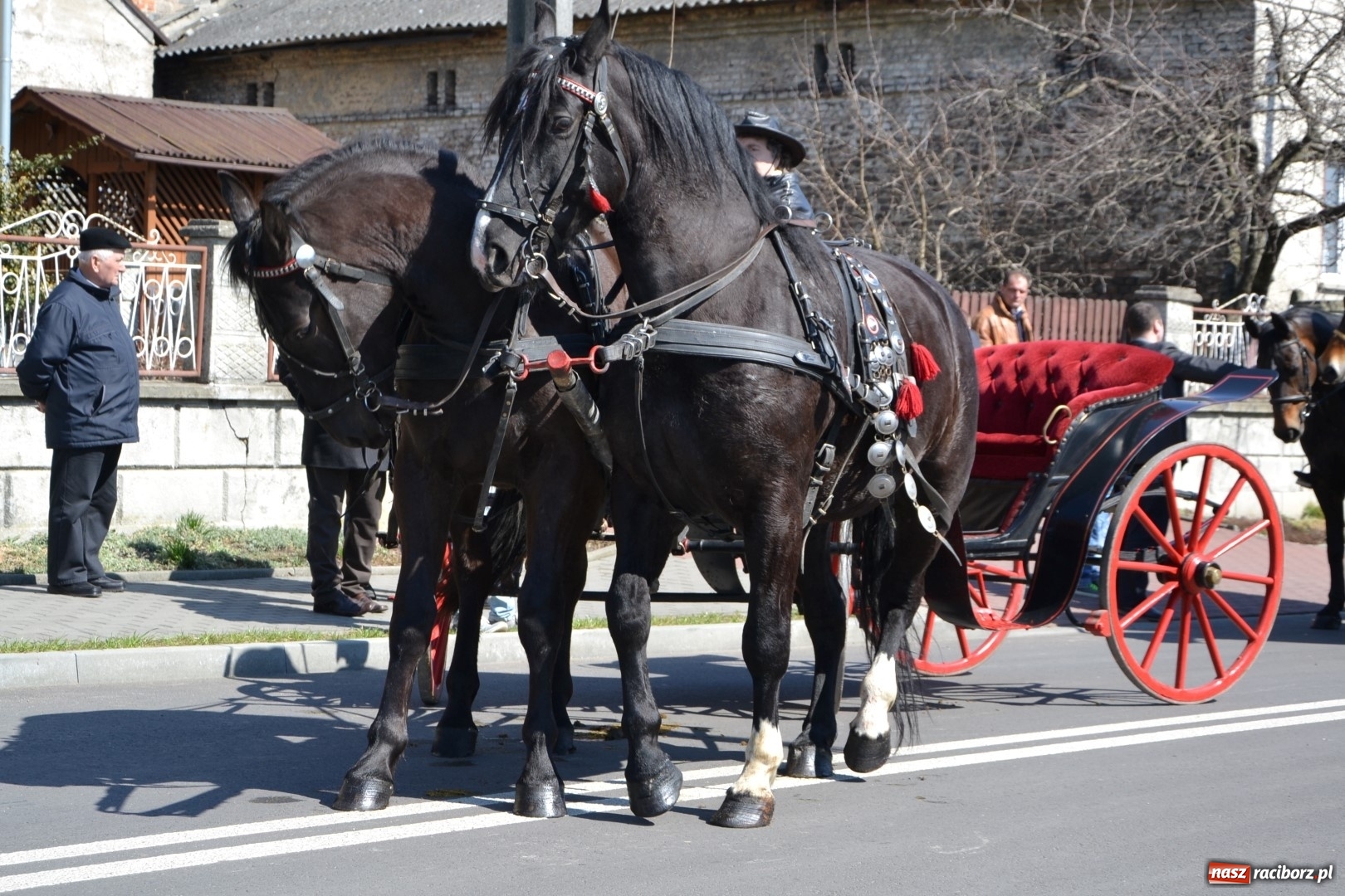 Zdjęcie w galerii na portalu naszraciborz.pl: Bieńkowickie rajtowanie - jeźdźcy mocno chwycili za lejce FOTO i WIDEO wiadomości z regionu