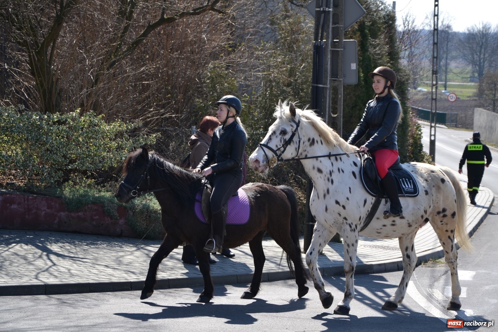 Zdjęcie w galerii na portalu naszraciborz.pl: Bieńkowickie rajtowanie - jeźdźcy mocno chwycili za lejce FOTO i WIDEO wiadomości z regionu