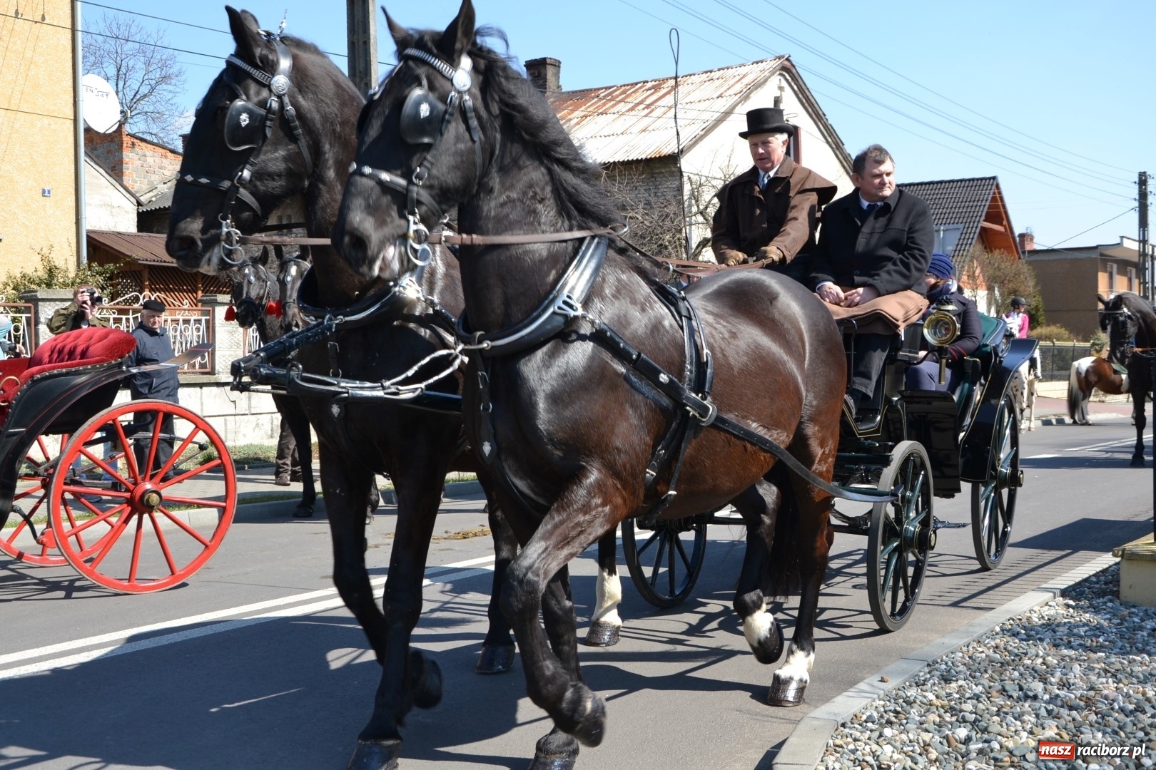 Zdjęcie w galerii na portalu naszraciborz.pl: Bieńkowickie rajtowanie - jeźdźcy mocno chwycili za lejce FOTO i WIDEO wiadomości z regionu