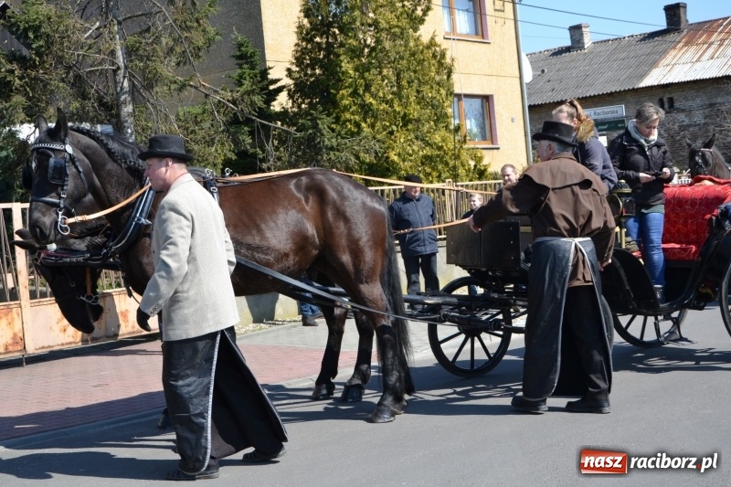 Zdjęcie w galerii na portalu naszraciborz.pl: Bieńkowickie rajtowanie - jeźdźcy mocno chwycili za lejce FOTO i WIDEO wiadomości z regionu