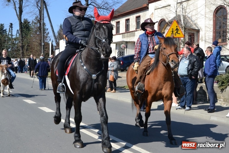 Zdjęcie w galerii na portalu naszraciborz.pl: Bieńkowickie rajtowanie - jeźdźcy mocno chwycili za lejce FOTO i WIDEO wiadomości z regionu