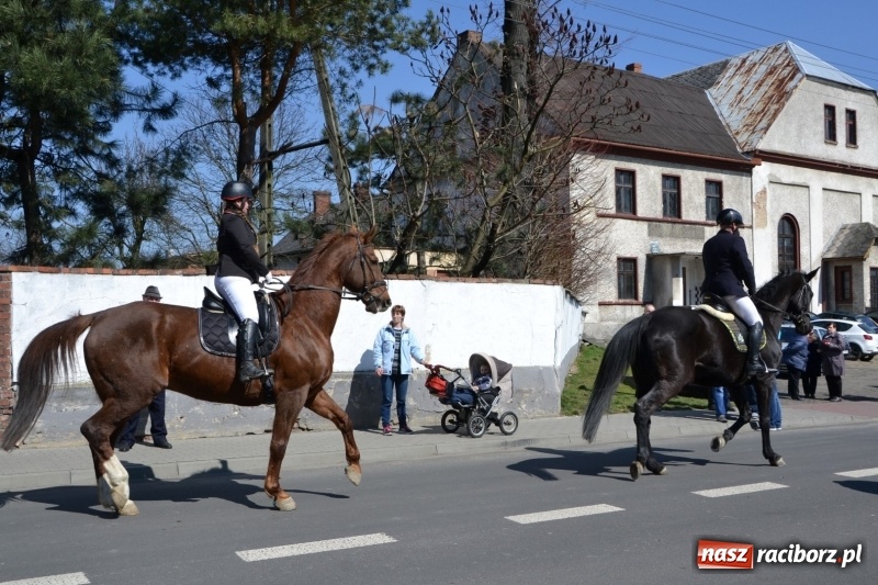 Zdjęcie w galerii na portalu naszraciborz.pl: Bieńkowickie rajtowanie - jeźdźcy mocno chwycili za lejce FOTO i WIDEO wiadomości z regionu