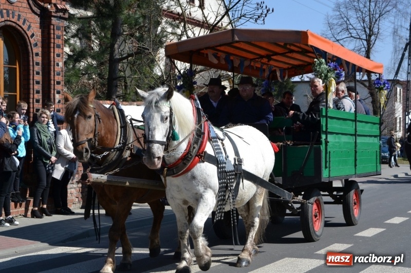 Zdjęcie w galerii na portalu naszraciborz.pl: Bieńkowickie rajtowanie - jeźdźcy mocno chwycili za lejce FOTO i WIDEO wiadomości z regionu