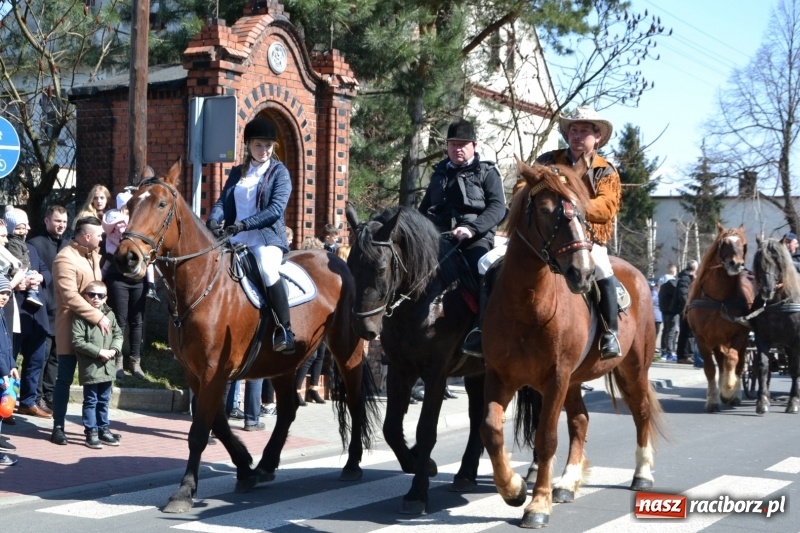 Zdjęcie w galerii na portalu naszraciborz.pl: Bieńkowickie rajtowanie - jeźdźcy mocno chwycili za lejce FOTO i WIDEO wiadomości z regionu