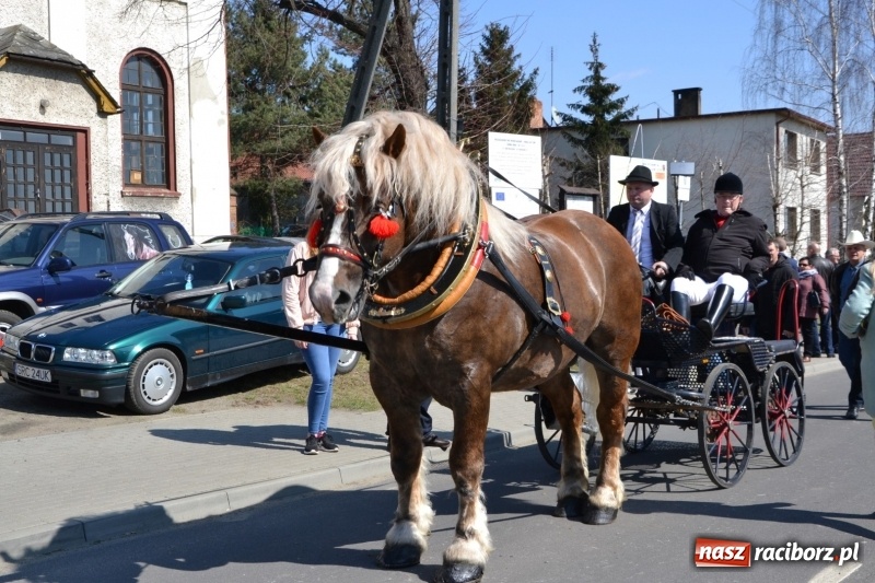 Zdjęcie w galerii na portalu naszraciborz.pl: Bieńkowickie rajtowanie - jeźdźcy mocno chwycili za lejce FOTO i WIDEO wiadomości z regionu