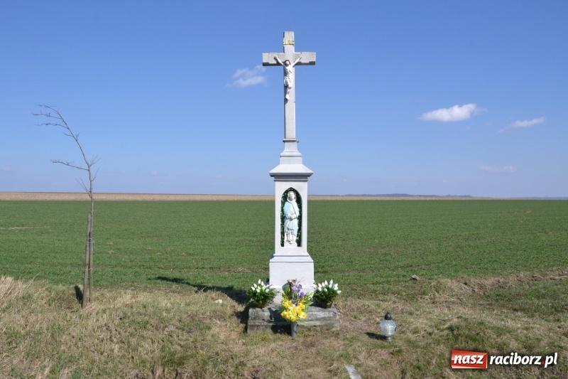 Zdjęcie w galerii na portalu naszraciborz.pl: Bieńkowickie rajtowanie - jeźdźcy mocno chwycili za lejce FOTO i WIDEO wiadomości z regionu