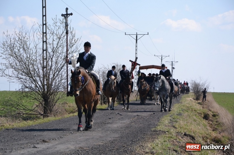 Zdjęcie w galerii na portalu naszraciborz.pl: Bieńkowickie rajtowanie - jeźdźcy mocno chwycili za lejce FOTO i WIDEO wiadomości z regionu