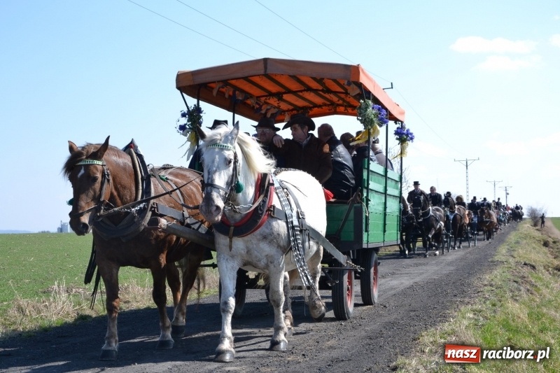Zdjęcie w galerii na portalu naszraciborz.pl: Bieńkowickie rajtowanie - jeźdźcy mocno chwycili za lejce FOTO i WIDEO wiadomości z regionu