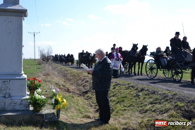 Zdjęcie w galerii na portalu naszraciborz.pl: Bieńkowickie rajtowanie - jeźdźcy mocno chwycili za lejce FOTO i WIDEO wiadomości z regionu