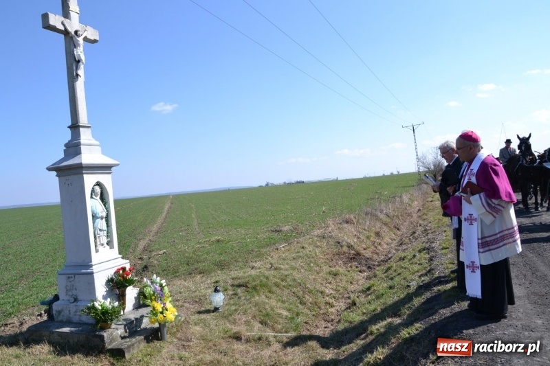 Zdjęcie w galerii na portalu naszraciborz.pl: Bieńkowickie rajtowanie - jeźdźcy mocno chwycili za lejce FOTO i WIDEO wiadomości z regionu