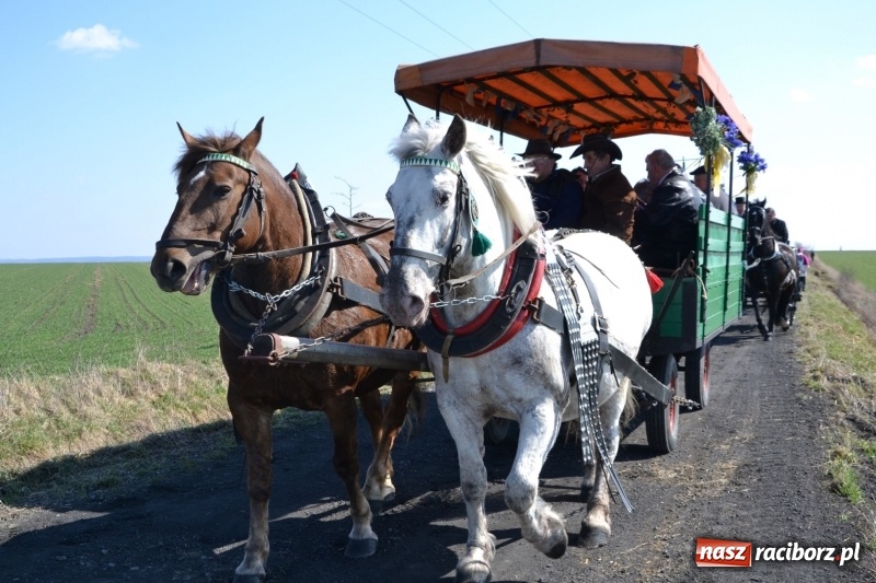 Zdjęcie w galerii na portalu naszraciborz.pl: Bieńkowickie rajtowanie - jeźdźcy mocno chwycili za lejce FOTO i WIDEO wiadomości z regionu