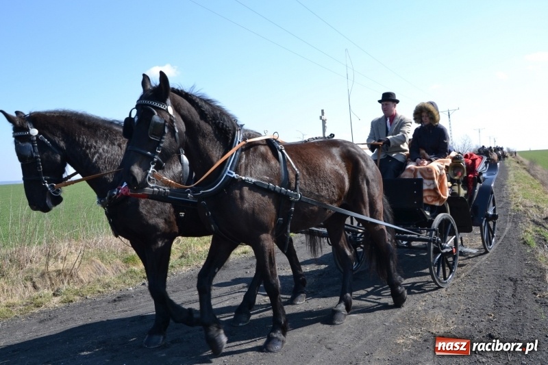 Zdjęcie w galerii na portalu naszraciborz.pl: Bieńkowickie rajtowanie - jeźdźcy mocno chwycili za lejce FOTO i WIDEO wiadomości z regionu