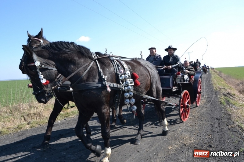 Zdjęcie w galerii na portalu naszraciborz.pl: Bieńkowickie rajtowanie - jeźdźcy mocno chwycili za lejce FOTO i WIDEO wiadomości z regionu