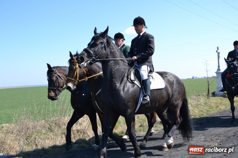 Zdjęcie w galerii na portalu naszraciborz.pl: Bieńkowickie rajtowanie - jeźdźcy mocno chwycili za lejce FOTO i WIDEO wiadomości z regionu