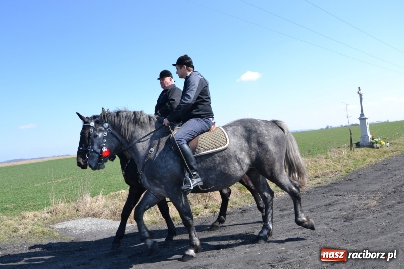 Zdjęcie w galerii na portalu naszraciborz.pl: Bieńkowickie rajtowanie - jeźdźcy mocno chwycili za lejce FOTO i WIDEO wiadomości z regionu