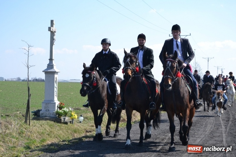 Zdjęcie w galerii na portalu naszraciborz.pl: Bieńkowickie rajtowanie - jeźdźcy mocno chwycili za lejce FOTO i WIDEO wiadomości z regionu