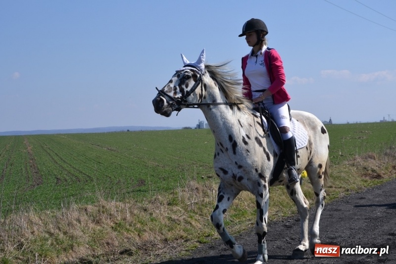 Zdjęcie w galerii na portalu naszraciborz.pl: Bieńkowickie rajtowanie - jeźdźcy mocno chwycili za lejce FOTO i WIDEO wiadomości z regionu