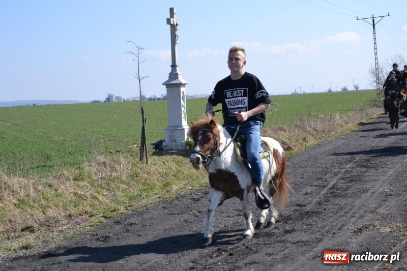 Zdjęcie w galerii na portalu naszraciborz.pl: Bieńkowickie rajtowanie - jeźdźcy mocno chwycili za lejce FOTO i WIDEO wiadomości z regionu