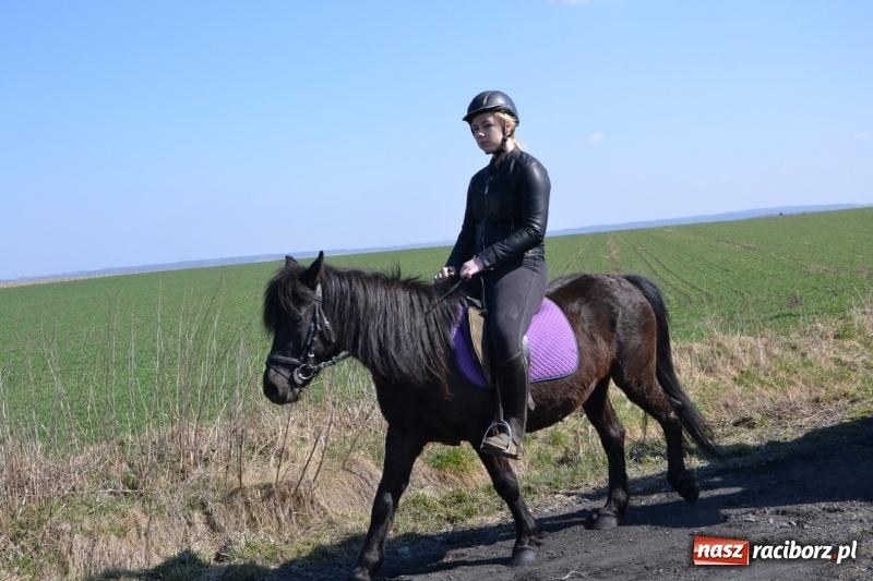Zdjęcie w galerii na portalu naszraciborz.pl: Bieńkowickie rajtowanie - jeźdźcy mocno chwycili za lejce FOTO i WIDEO wiadomości z regionu
