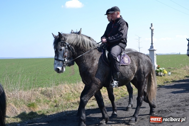 Zdjęcie w galerii na portalu naszraciborz.pl: Bieńkowickie rajtowanie - jeźdźcy mocno chwycili za lejce FOTO i WIDEO wiadomości z regionu