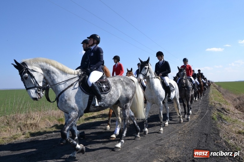 Zdjęcie w galerii na portalu naszraciborz.pl: Bieńkowickie rajtowanie - jeźdźcy mocno chwycili za lejce FOTO i WIDEO wiadomości z regionu