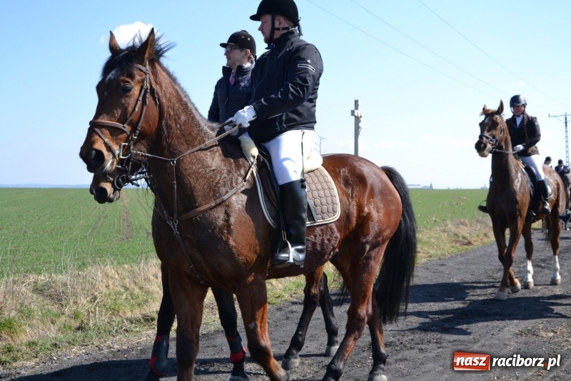 Zdjęcie w galerii na portalu naszraciborz.pl: Bieńkowickie rajtowanie - jeźdźcy mocno chwycili za lejce FOTO i WIDEO wiadomości z regionu