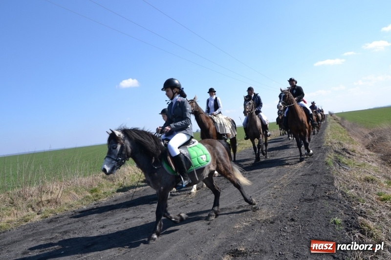 Zdjęcie w galerii na portalu naszraciborz.pl: Bieńkowickie rajtowanie - jeźdźcy mocno chwycili za lejce FOTO i WIDEO wiadomości z regionu