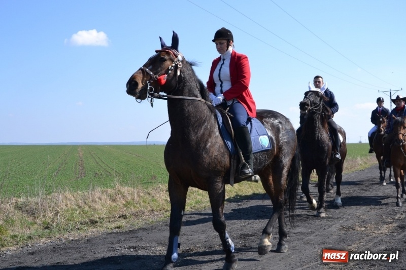 Zdjęcie w galerii na portalu naszraciborz.pl: Bieńkowickie rajtowanie - jeźdźcy mocno chwycili za lejce FOTO i WIDEO wiadomości z regionu
