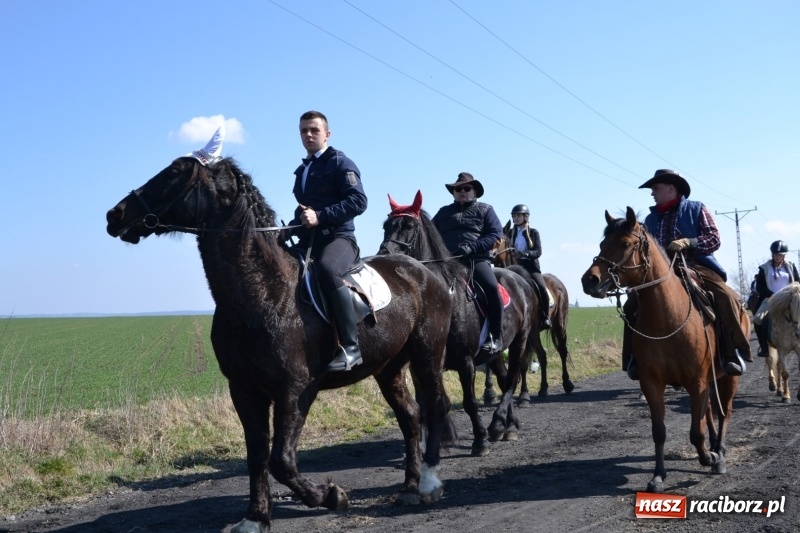 Zdjęcie w galerii na portalu naszraciborz.pl: Bieńkowickie rajtowanie - jeźdźcy mocno chwycili za lejce FOTO i WIDEO wiadomości z regionu