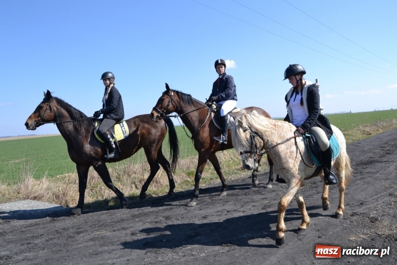 Zdjęcie w galerii na portalu naszraciborz.pl: Bieńkowickie rajtowanie - jeźdźcy mocno chwycili za lejce FOTO i WIDEO wiadomości z regionu