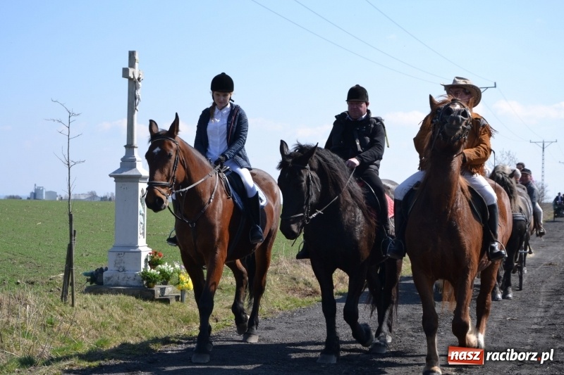 Zdjęcie w galerii na portalu naszraciborz.pl: Bieńkowickie rajtowanie - jeźdźcy mocno chwycili za lejce FOTO i WIDEO wiadomości z regionu