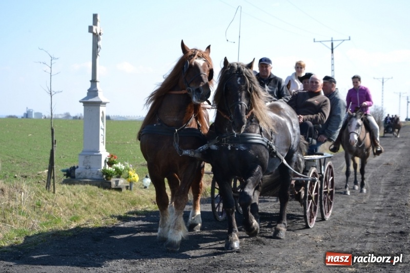 Zdjęcie w galerii na portalu naszraciborz.pl: Bieńkowickie rajtowanie - jeźdźcy mocno chwycili za lejce FOTO i WIDEO wiadomości z regionu
