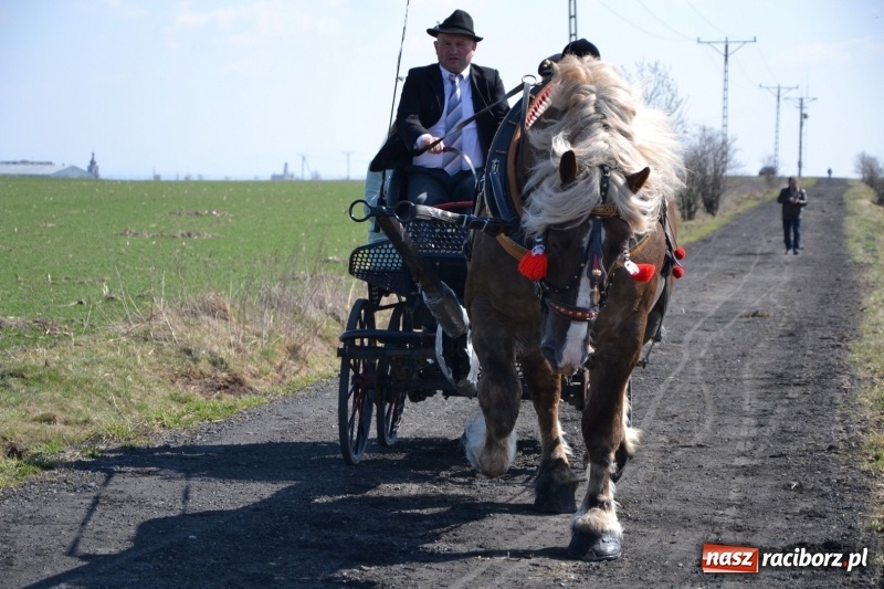 Zdjęcie w galerii na portalu naszraciborz.pl: Bieńkowickie rajtowanie - jeźdźcy mocno chwycili za lejce FOTO i WIDEO wiadomości z regionu